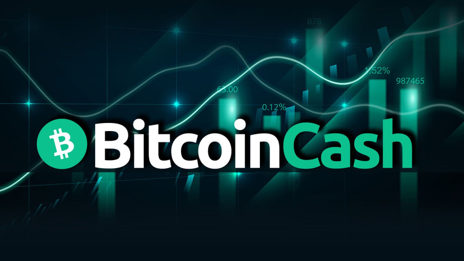 BCH to USD, How Much Is Bitcoin Cash in United States Dollar