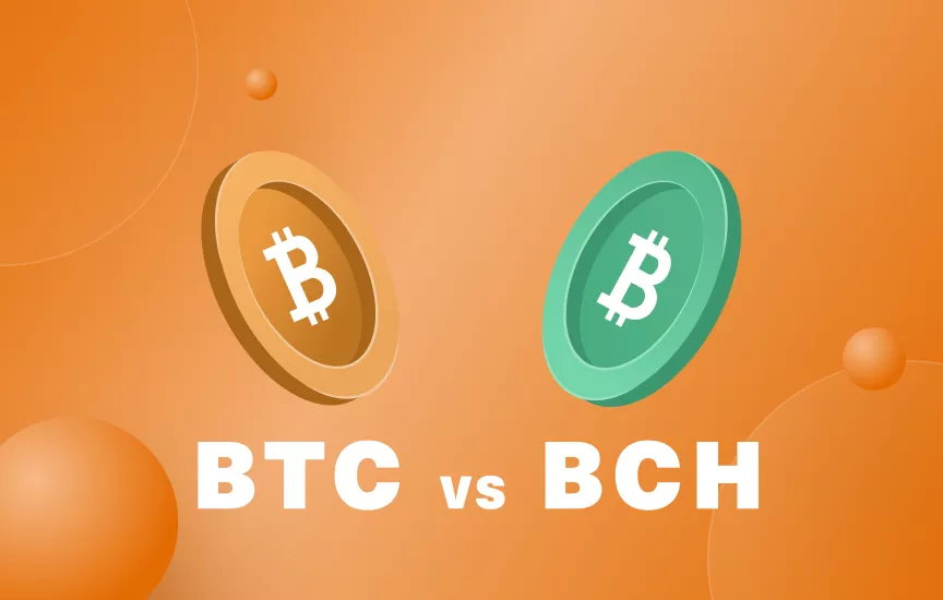 What is Bitcoin Cash (BCH)? | Coinhouse