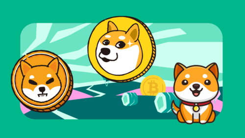 1 DOGE to BDT (Dogecoin to Taka) - BitcoinsPrice