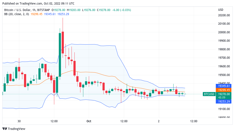 BTC to USD exchange rate - How much is Bitcoin in US Dollar?