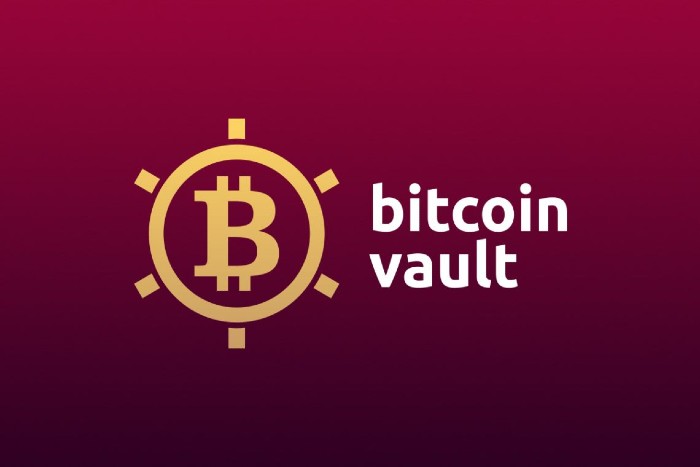 A List of the Best Offshore Private Vaults