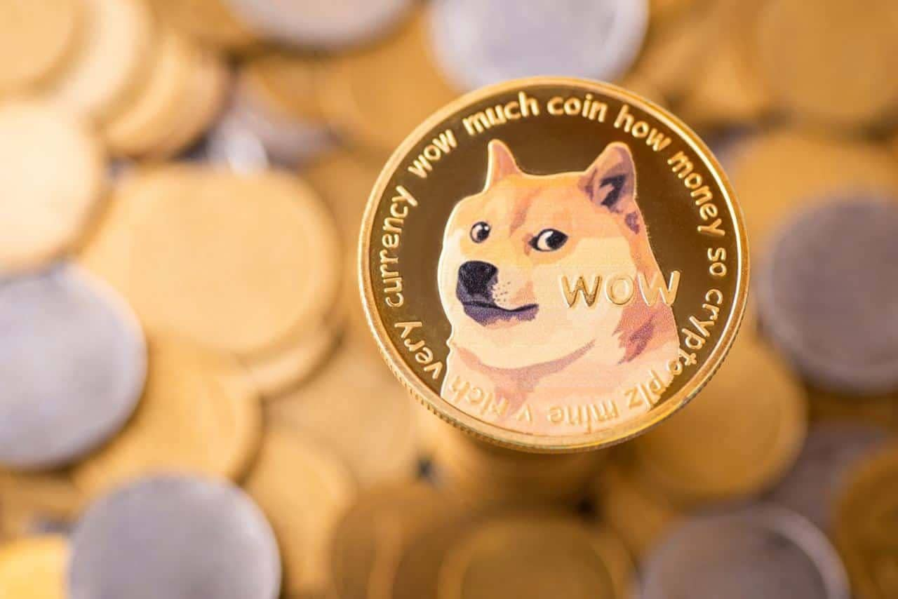 1 Doge = 1 Doge - Rhea Myers