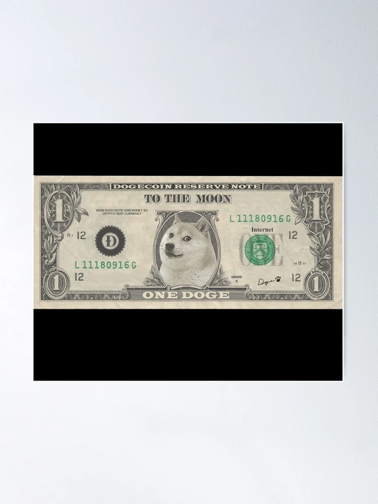 DOGE to USD : Dogecoin (DOGE) price in Dollar (USD)