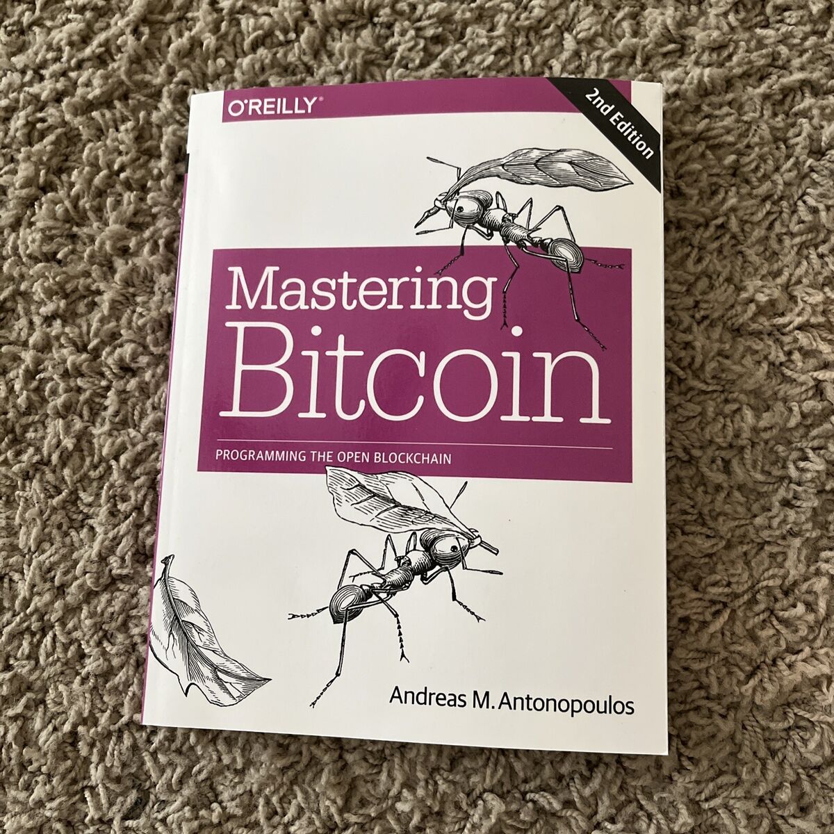 GitHub - bitcoinbook/bitcoinbook: Mastering Bitcoin 3rd Edition - Programming the Open Blockchain