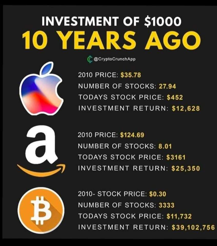 Here's how much money you'd have if you invested $1, in bitcoin 10 years ago - Torizone