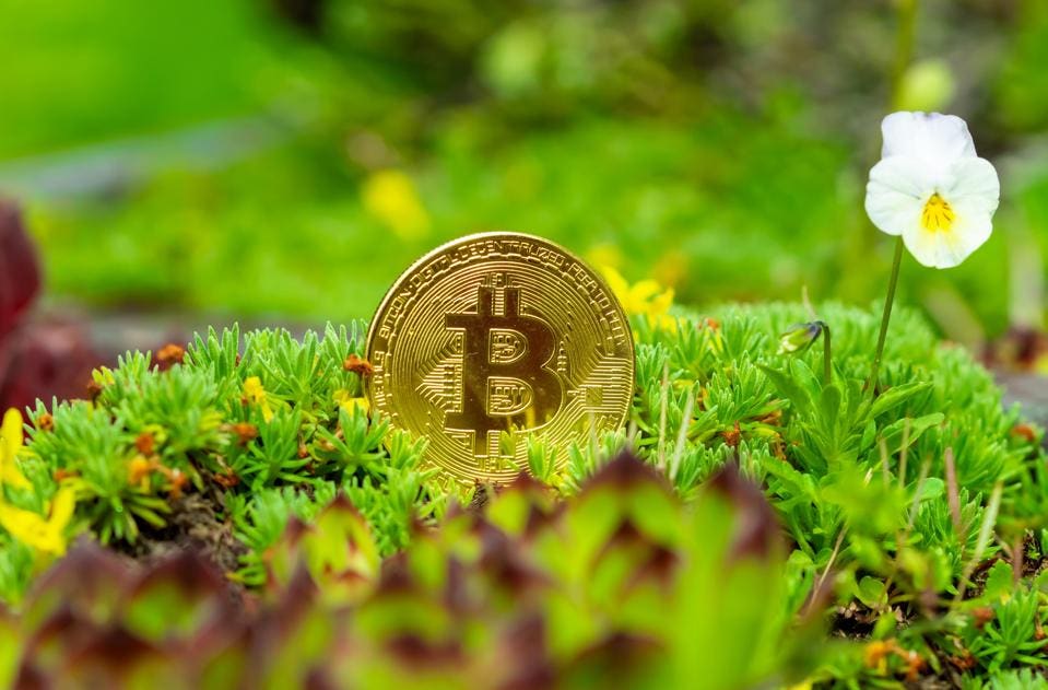 Bitcoin is terrible for the environment – can it ever go green? | Bitcoin | The Guardian