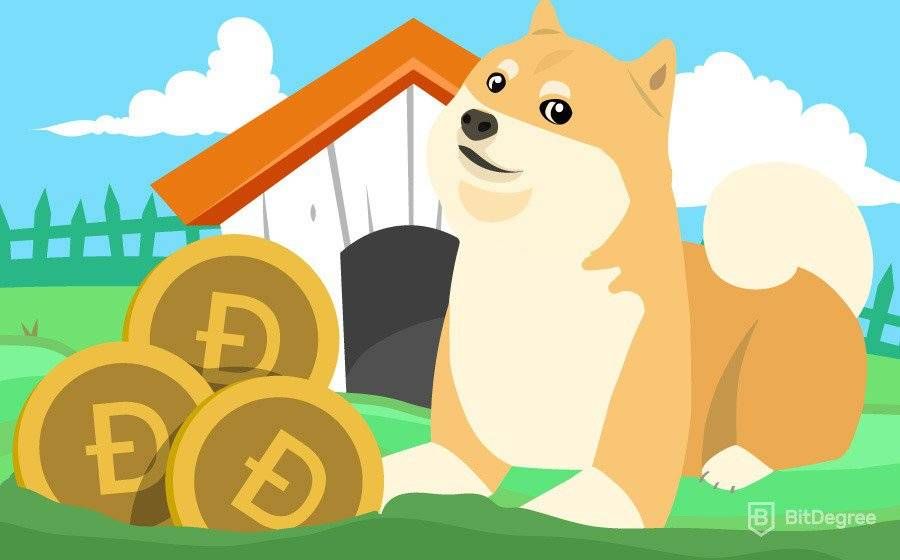 How to Mine Dogecoin in - Step by Step Guide