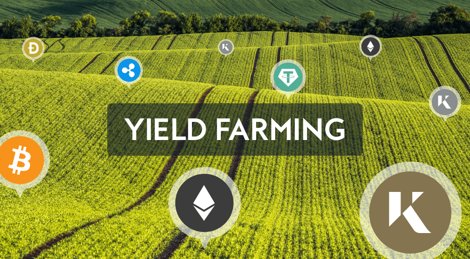 A Beginner's Guide to DeFi Yield Farming | Hedera