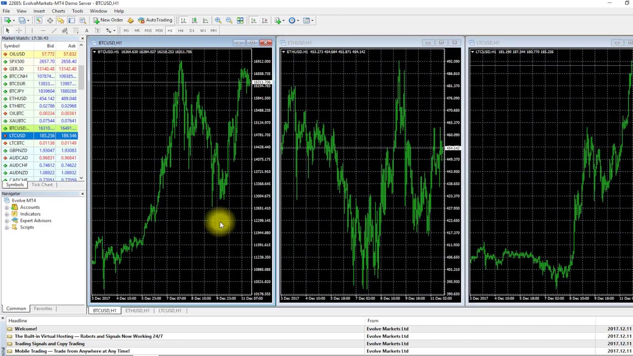 How to Add Crypto to MT4? – Video and Screenshots – Forex Education