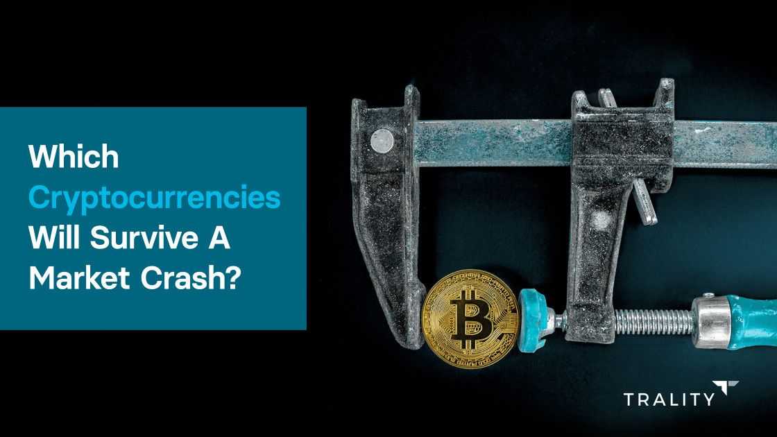 Top 15 Cryptocurrencies that will Survive Even a Massive Market Crash - bymobile.ru