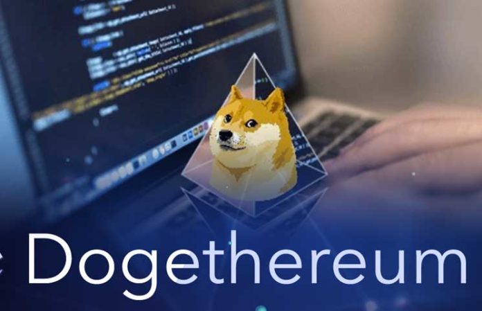 Dogecoin Ethereum Bridge Development Company - Coin Developer India