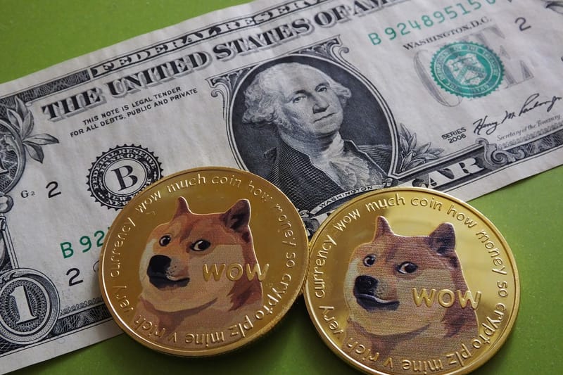 DOGE to USD | Convert DogeCoin to US Dollars | Revolut United Kingdom