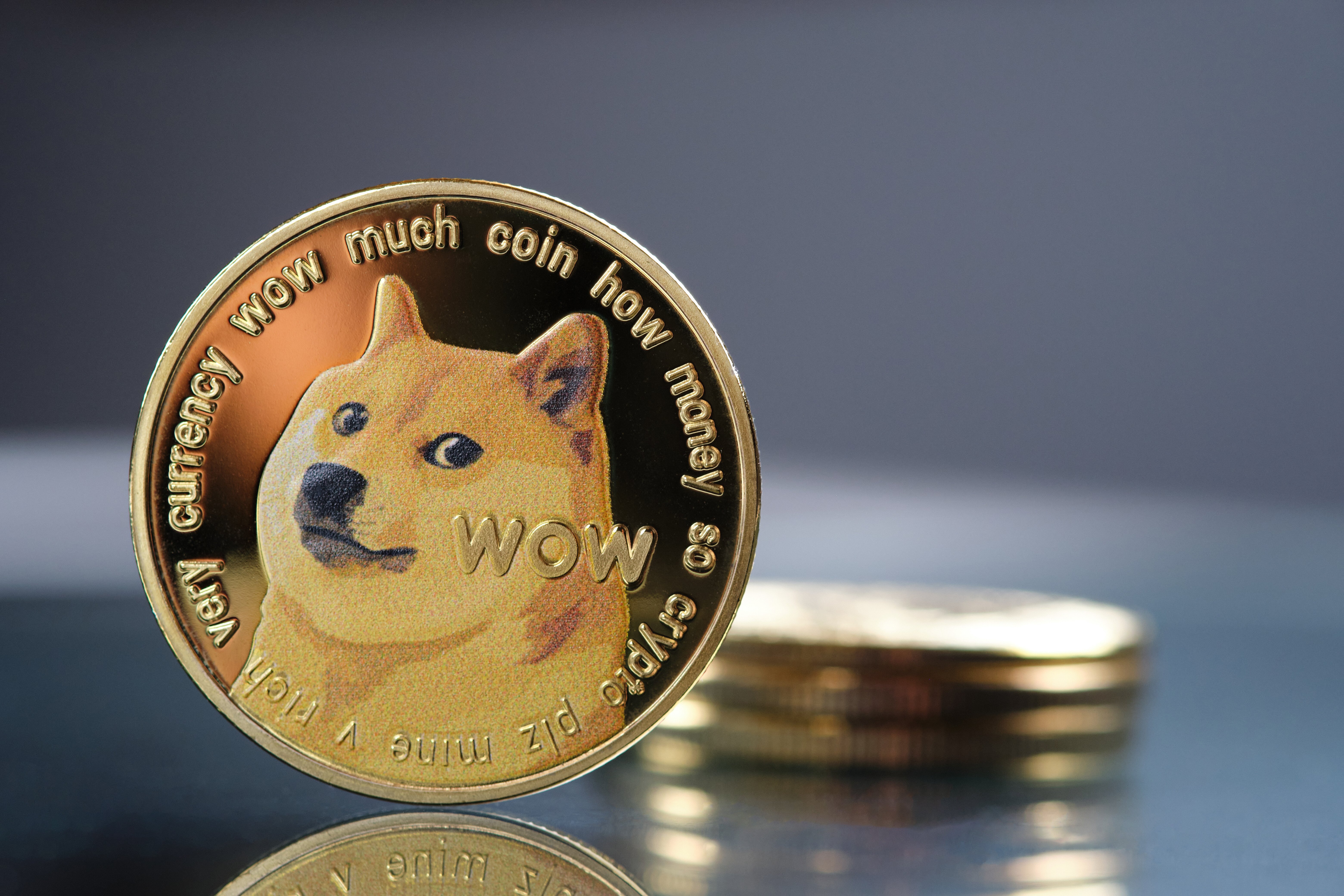 US-Dollar to Dogecoin Conversion | USD to DOGE Exchange Rate Calculator | Markets Insider