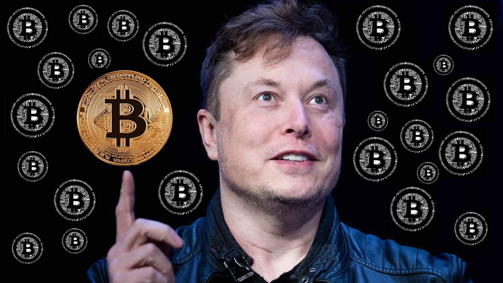 Fake Elon Musk TeslaCoin investment scam costs victims at least $