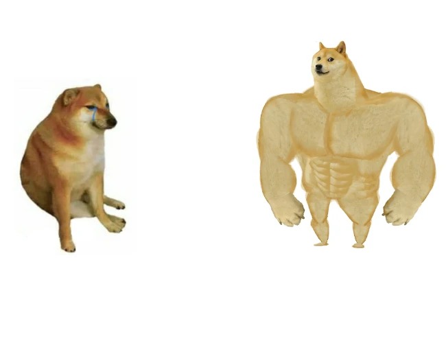 Buff doge vs cheems Meme Generator - Imgflip | Memes, Writing memes, Me too meme