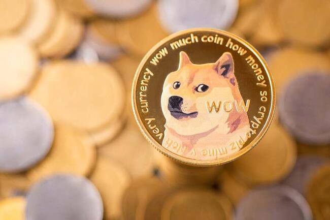 Dogecoin to Euro or convert DOGE to EUR