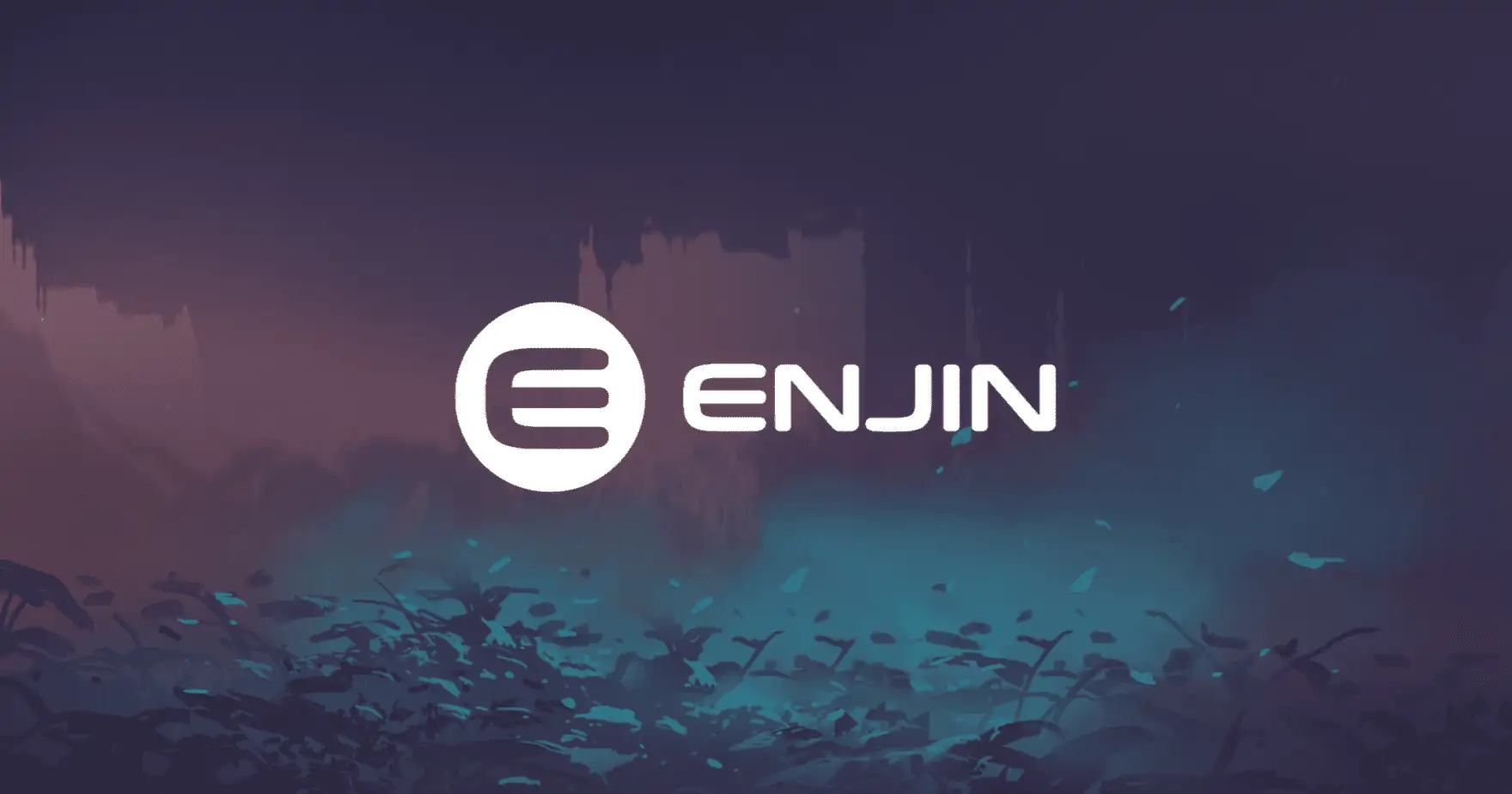 Enjin Coin Wallet | Ledger