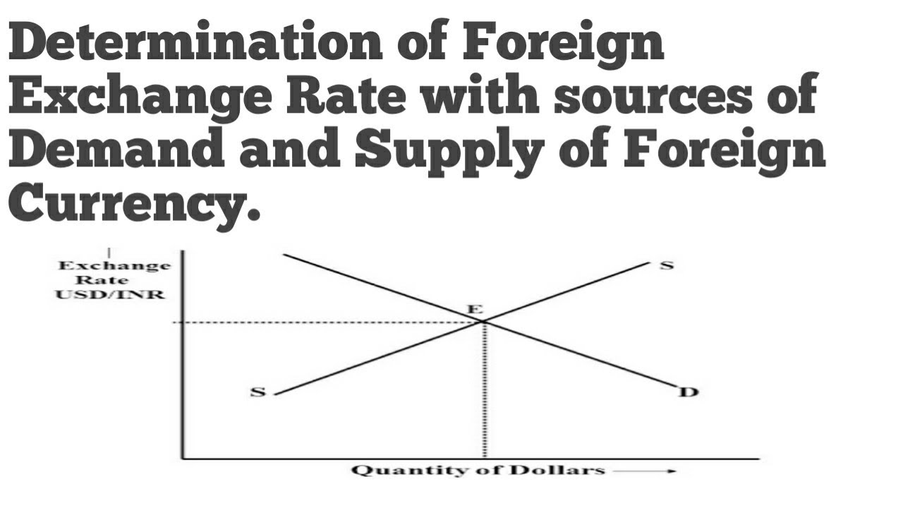 Exchange Rates and their Measurement | Explainer | Education | RBA