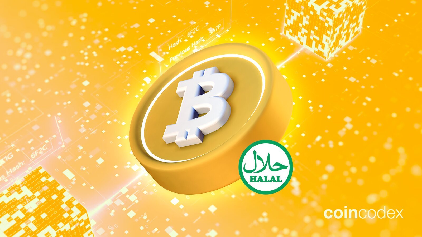 Is Bitcoin Halal or Haram? A Shariah Analysis