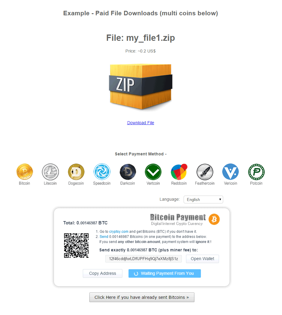 Bitcoin Payment Gateway - Bitcoin API PHP. White Label Bitcoin Payment Box