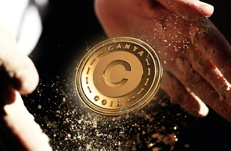 CannAvenue (CANA) ICO - Rating, News & Details | CoinCodex