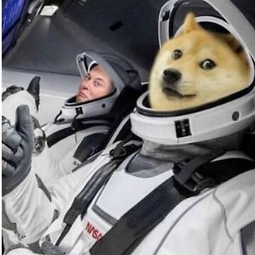 US based Youtuber literally sends Dogecoin to the moon to celebrate Elon Musk’s 50th birthday