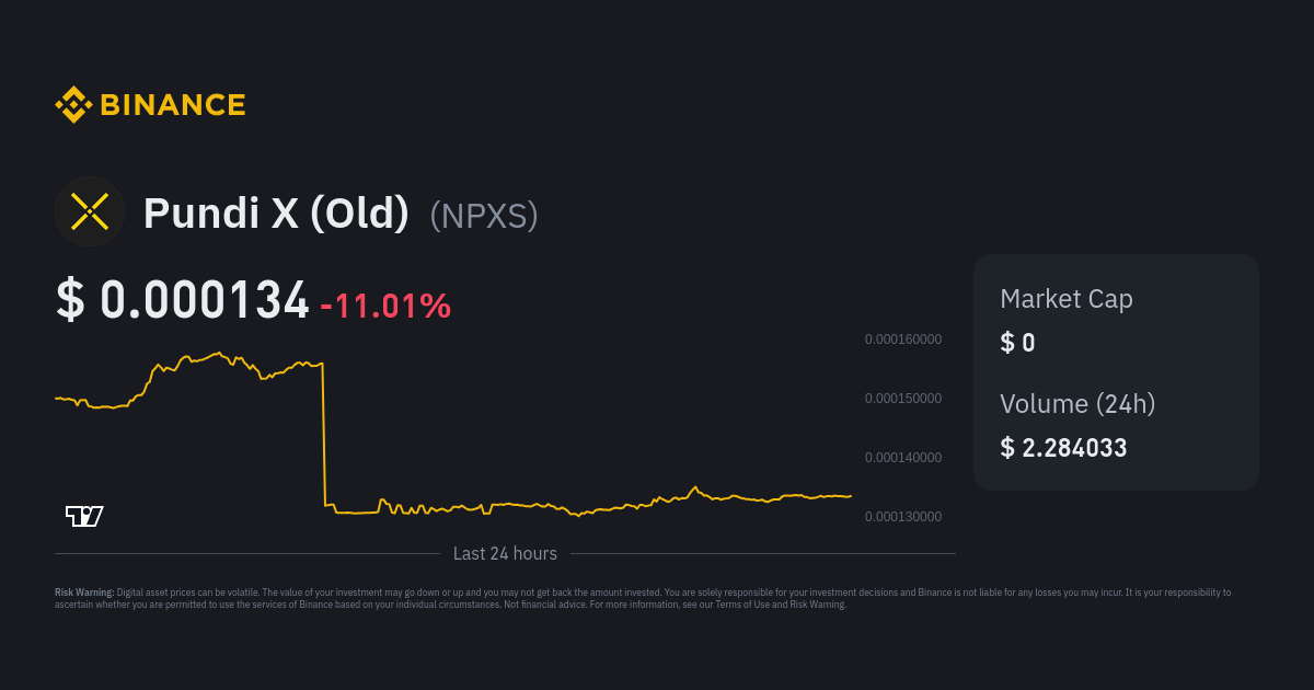 What is Pundi X (NPXS) Cryptocurrency About?