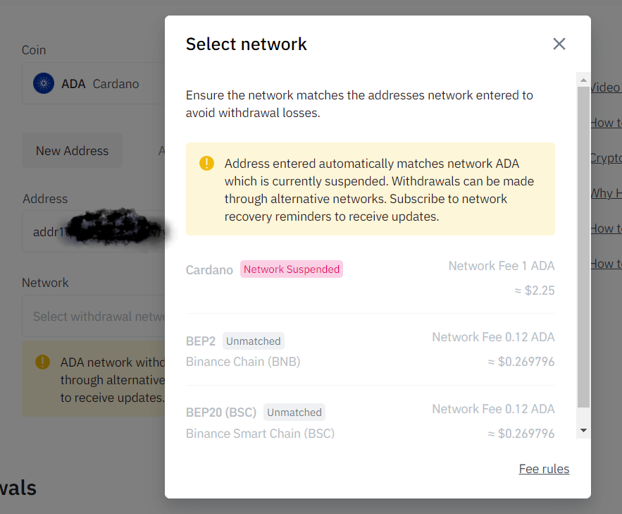 Wallet Maintenance for Cardano Network (ADA) - Binance | CoinCarp