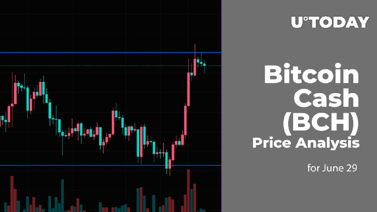 Bitcoin Cash Price | BCH Price Index and Live Chart - CoinDesk