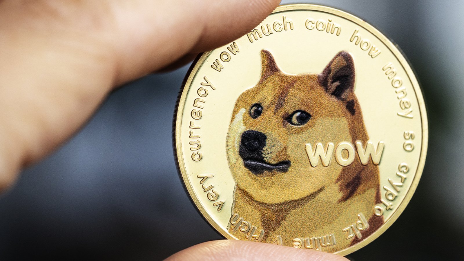 USD to DOGE | Convert United States Dollar to Dogecoin | OKX