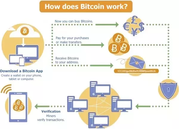 What is Bitcoin? The Basics of Bitcoin Explained