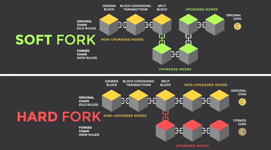 Understanding Hard Forks in Cryptocurrency