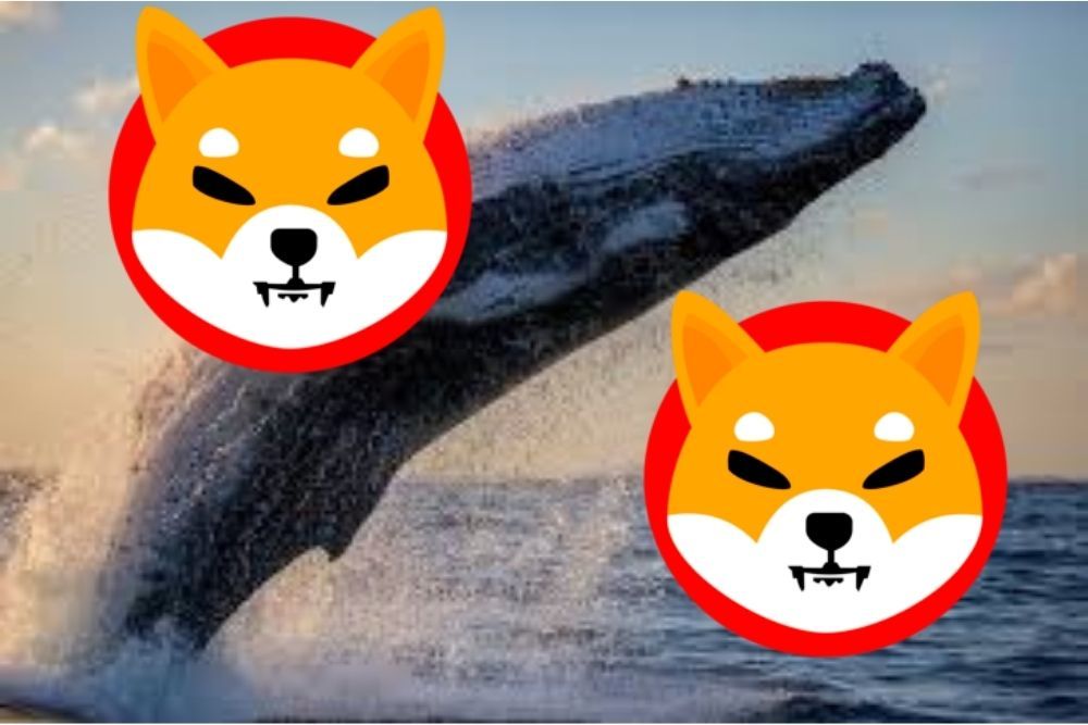 SHIB Price: Shiba Inu Whale Moves 3 Tln Coins As SHIB Price Rockets 70%