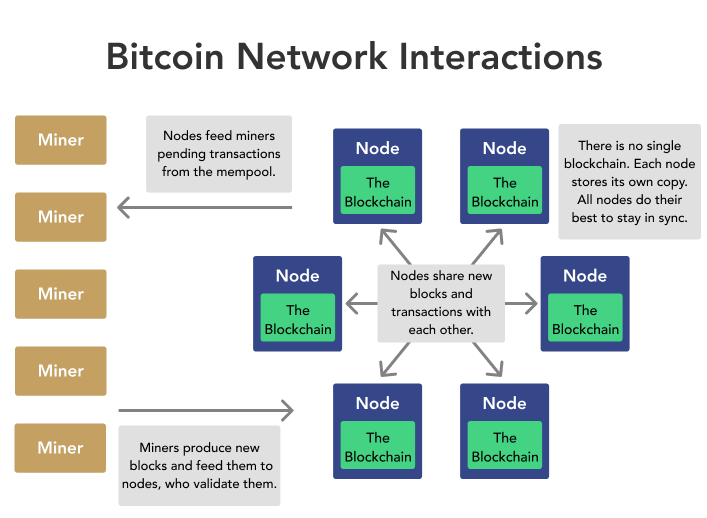 Top Bitcoin Node Providers - CoinCodeCap