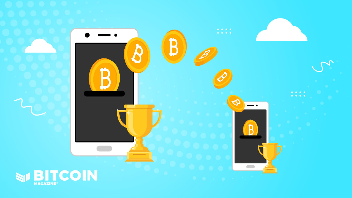 Best bitcoin and crypto wallets for March 