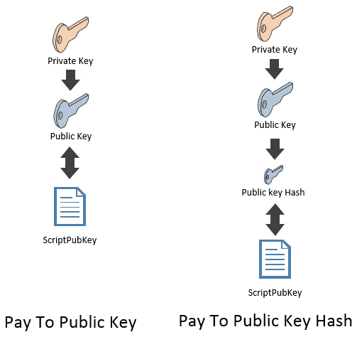 Scripts and Script Language: Pay-to-Public-Key-Hash (P2PKH) | Saylor Academy