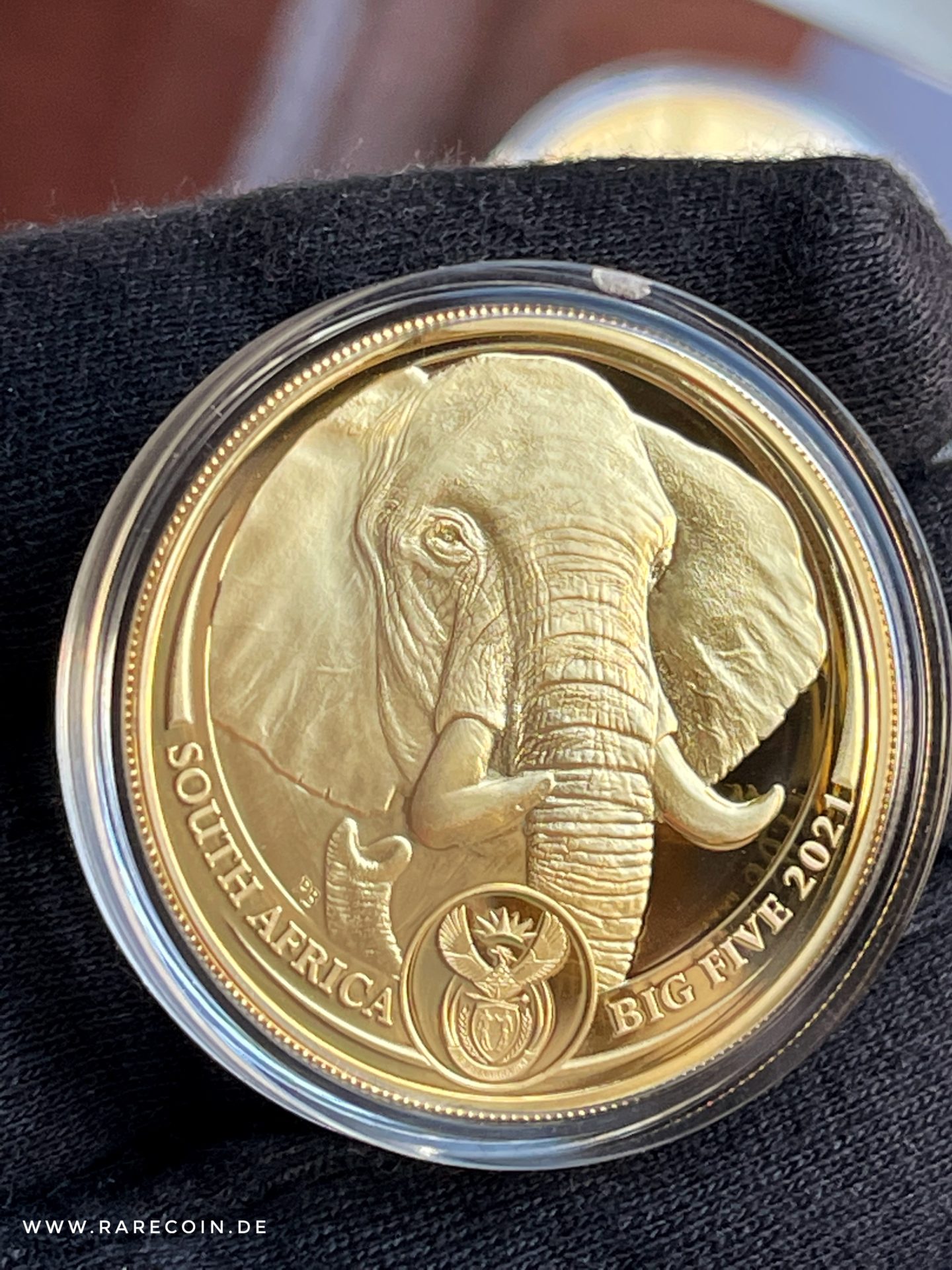 1 oz South African Elephant Big 5 Series Gold Coin | Tavex Lithuania