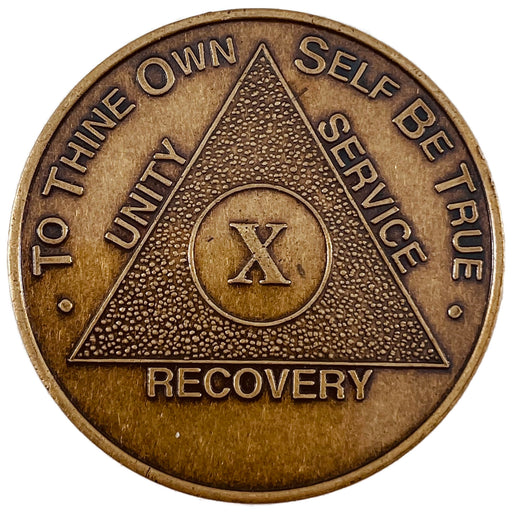 1 Year AA Medallion Chips – RecoveryChip