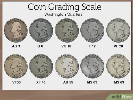 Coin Grading How To Grade A Coin Yourself At Home | U.S. Coins Guide