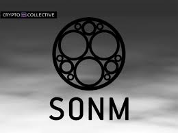 SONM Funding Rounds Analytics | AlphaGrowth