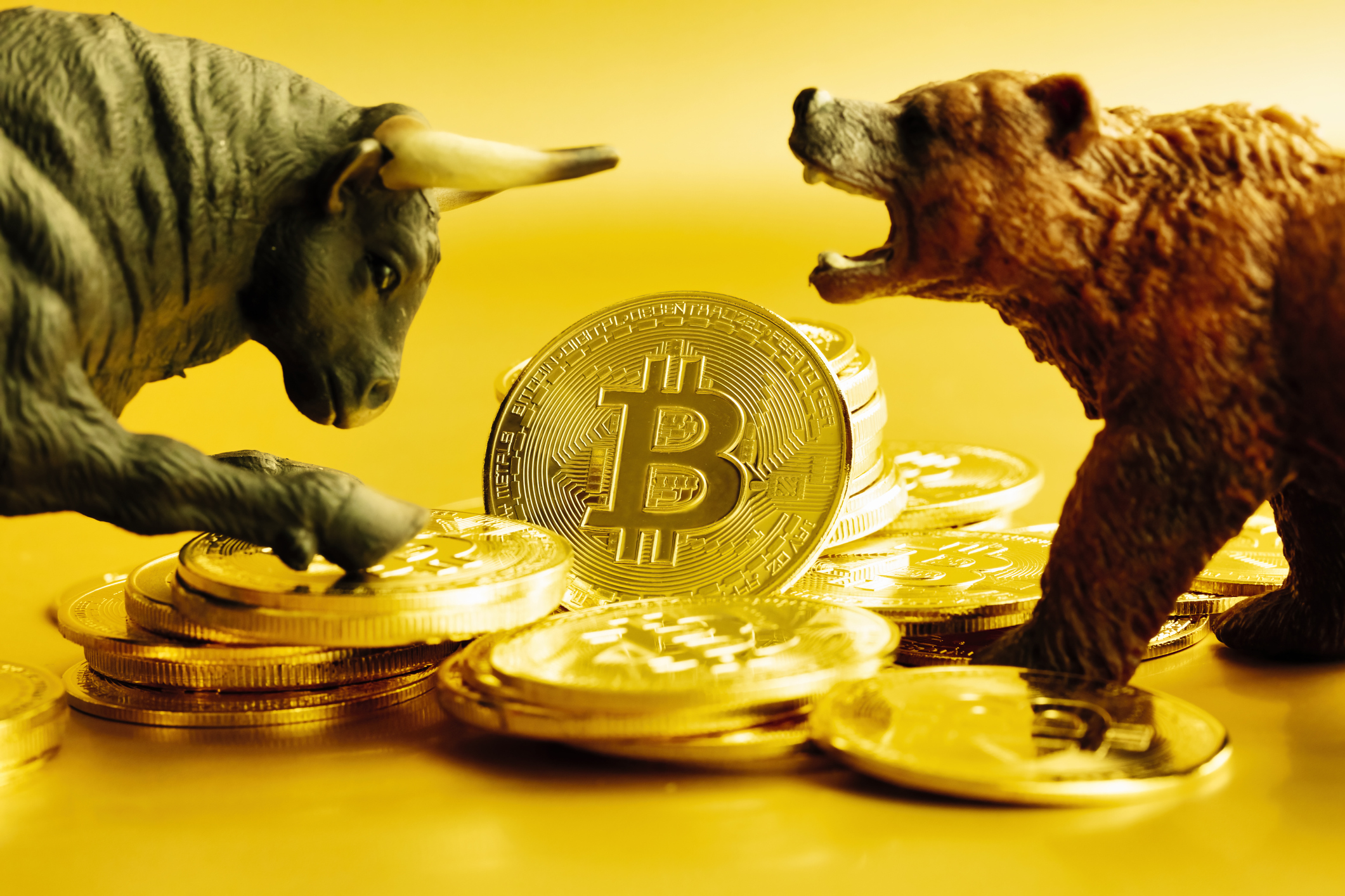 Top 5 cryptocurrency to invest in during a crypto bear market - The Economic Times