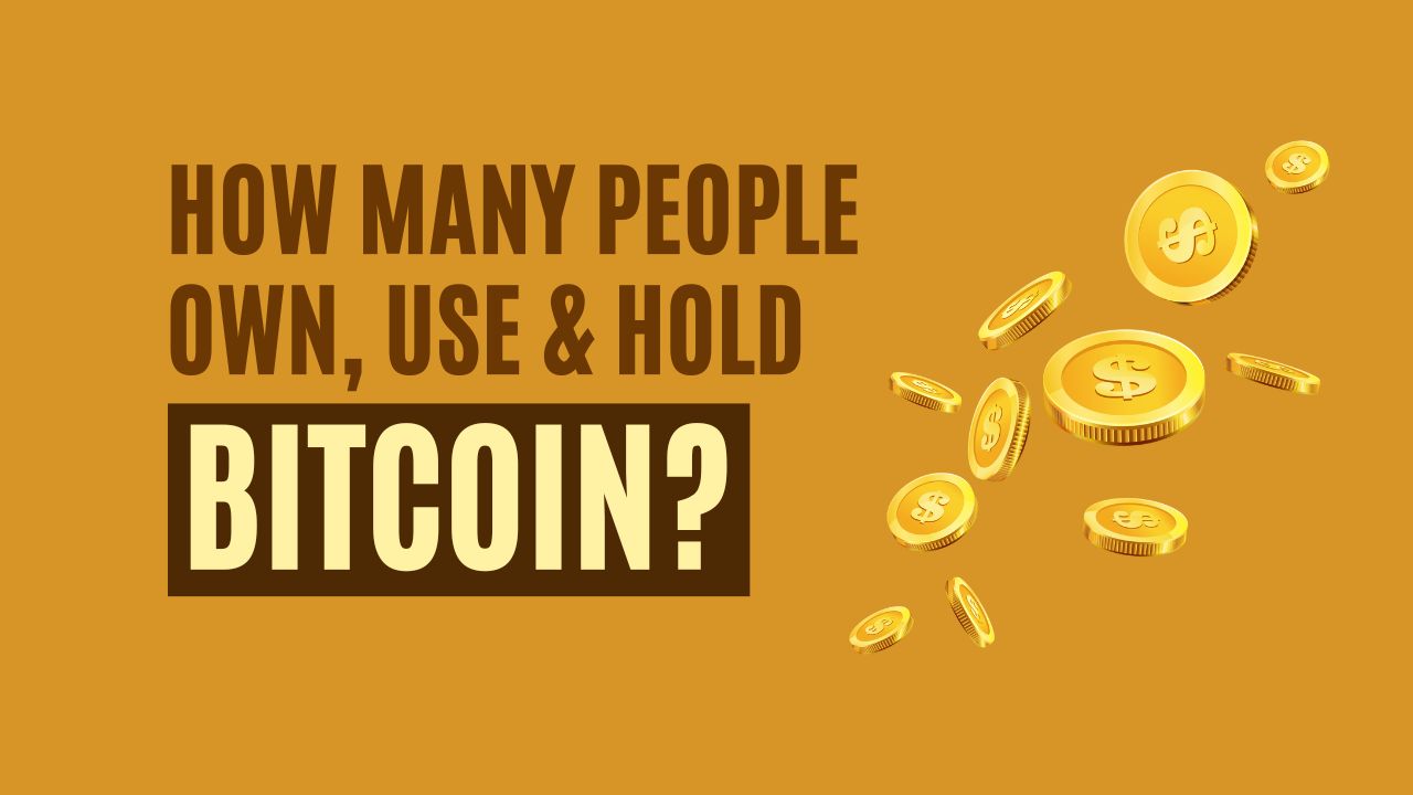 How many People own Bitcoin? | Mybitstore