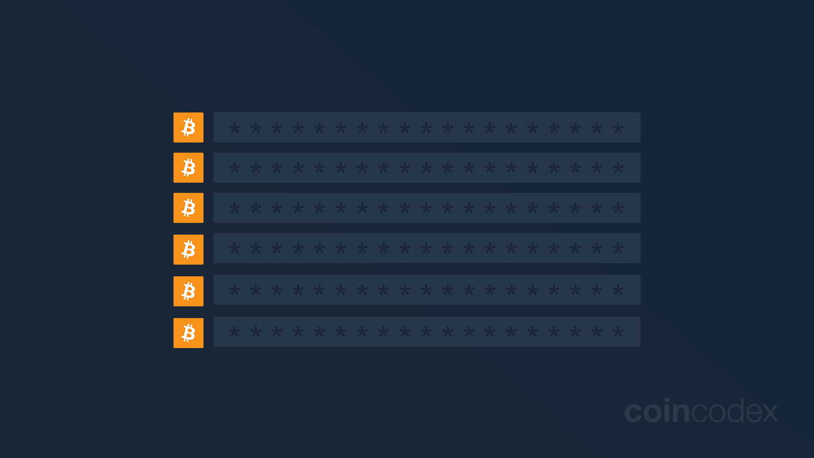 What is a Satoshi Test and how is it used for crypto wallet verification?