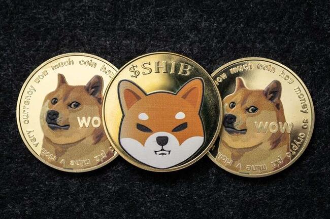 1 DOGE to BDT - Dogecoins to Bangladeshi Takas Exchange Rate