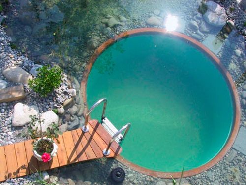 15 Rec pond ideas | backyard pool, dream pools, natural swimming pools