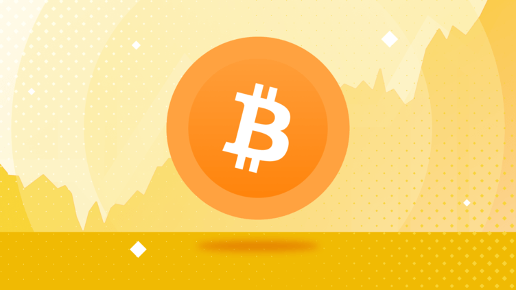 What Determines Bitcoin's Price?