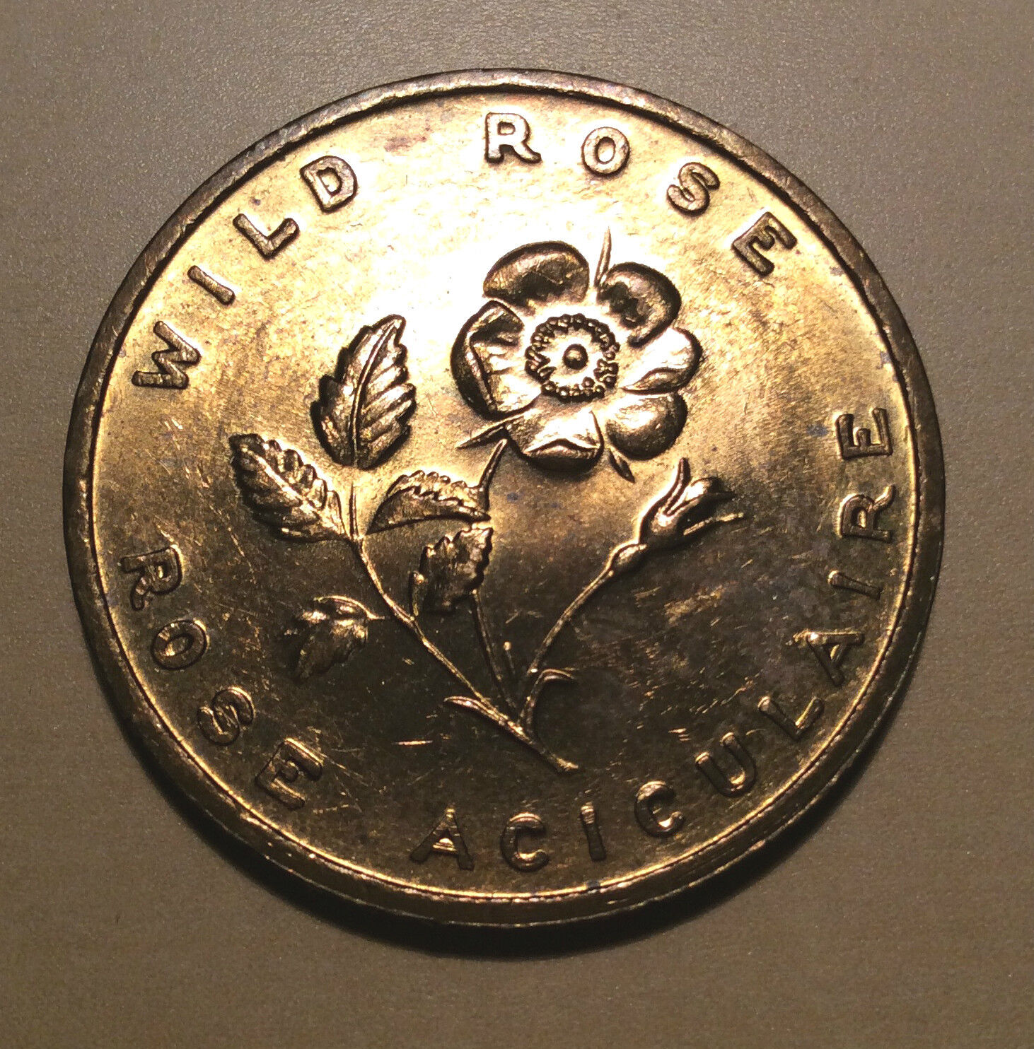 Alberta rare coins for collectors and other buyers ~ MegaMinistore