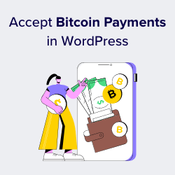 Best Plugins to Accept Bitcoin Payments in WordPress - Top 5