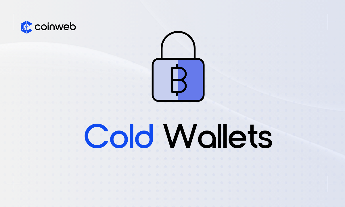 11 Best Crypto Cold Wallets for Reviewed