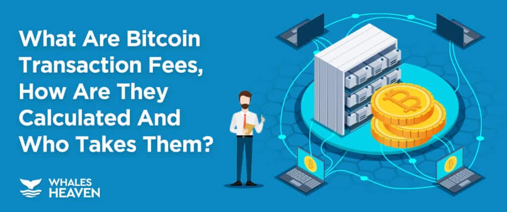 Bitcoin transaction fees at yearly highs; What’s next for BTC?